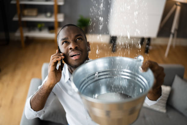 Best 24/7 water damage repair  in Wynne, AR