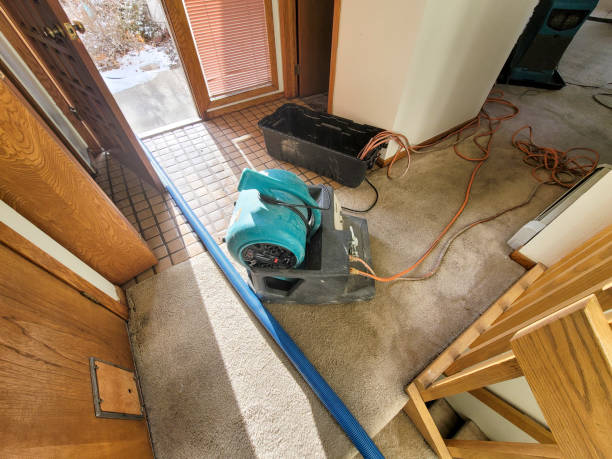 Best Water damage repair service  in Wynne, AR