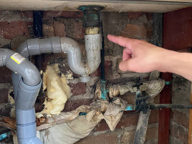 Best Basement water damage restoration  in Wynne, AR