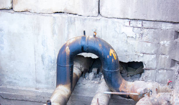 Best Water damage restoration process  in Wynne, AR