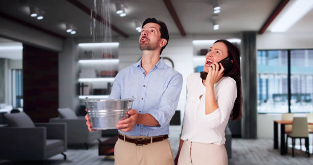 Best Water damage restoration mold remediation  in Wynne, AR